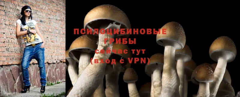 Псилоцибиновые грибы MAGIC MUSHROOMS  купить закладку  Нытва 